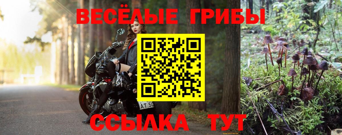 Галлюциногенные грибы Cubensis  как найти   Краснокаменск  Вход с VPN 